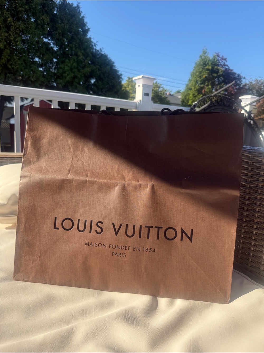 Louis Vuitton Brown Branded Tote Shopping Bag